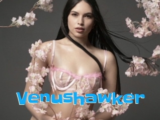 Venushawker