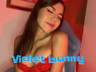 Violet_bunny