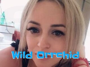 Wild_Orrchid