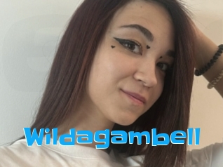 Wildagambell