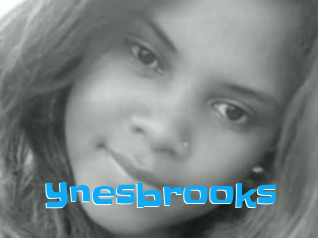 Ynesbrooks