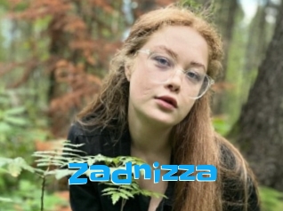 Zadnizza