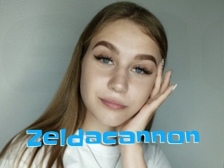 Zeldacannon